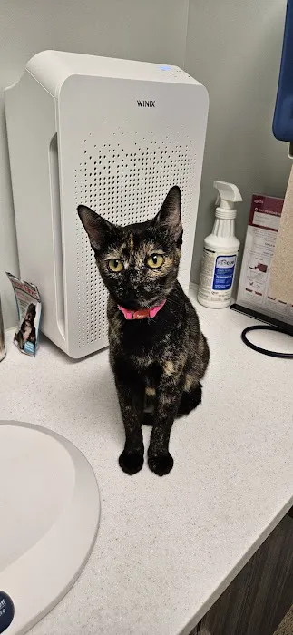 North St. Paul Animal Hospital Picture 8