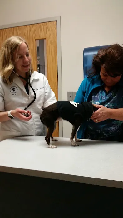 North St. Paul Animal Hospital Picture 7