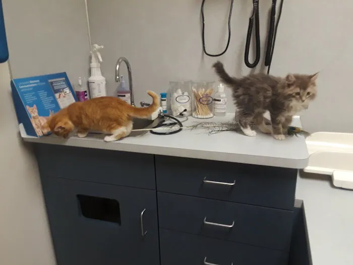 North St. Paul Animal Hospital Picture 9