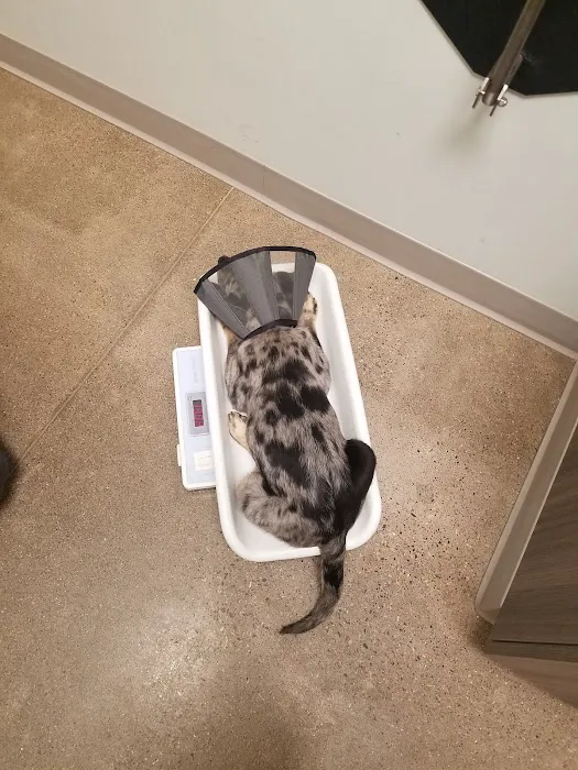 North St. Paul Animal Hospital Picture 10
