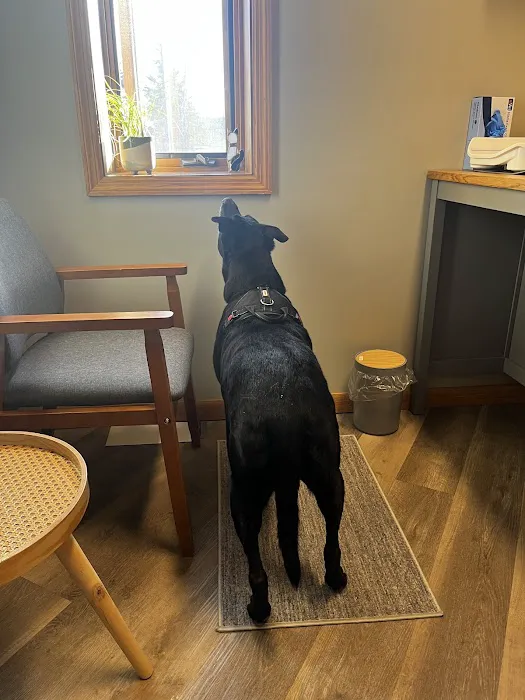 Aurora Urgent Veterinary Clinic Picture 2