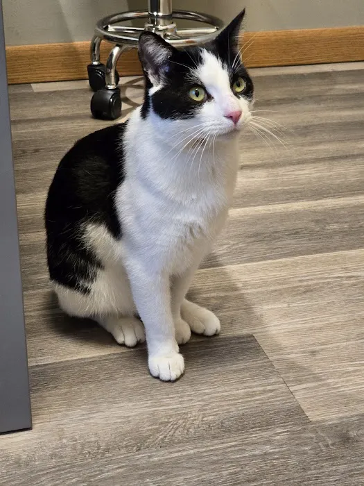 Aurora Urgent Veterinary Clinic Picture 9
