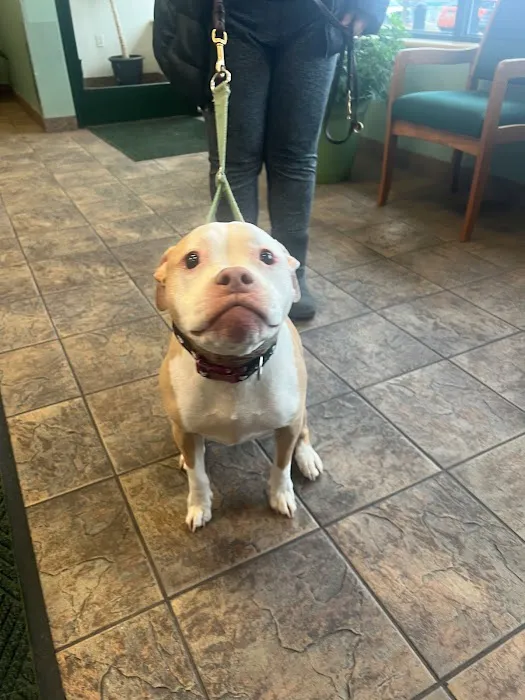 Hometown Veterinary Partners Silver Lake Picture 5