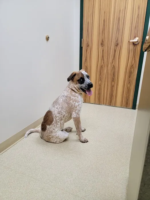 Hometown Veterinary Partners Silver Lake Picture 10