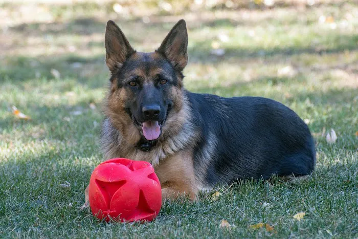 Lake Animal Hospital Picture 2