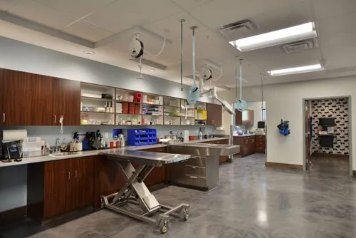 Lake Animal Hospital Picture 10