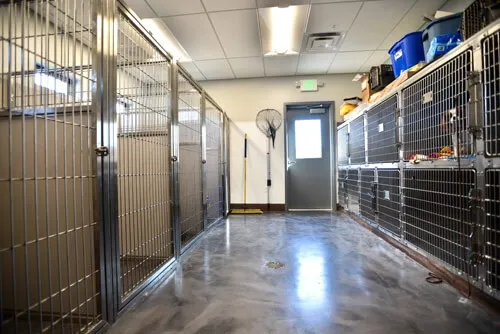 Lake Animal Hospital Picture 8