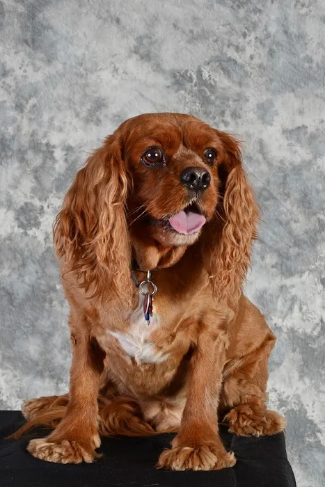 Life Care Animal Hospital Picture 8