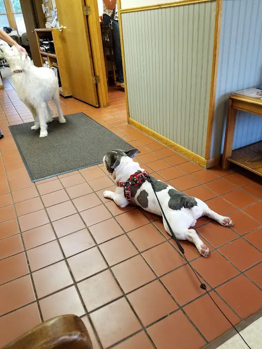 Century Animal Clinic Picture 3
