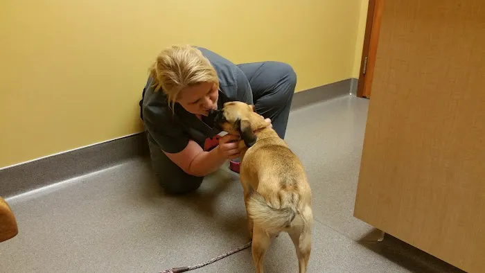 Forest Lake Veterinary Hospital: Rapp Sarah DVM Picture 1