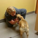 Forest Lake Veterinary Hospital: Rapp Sarah DVM