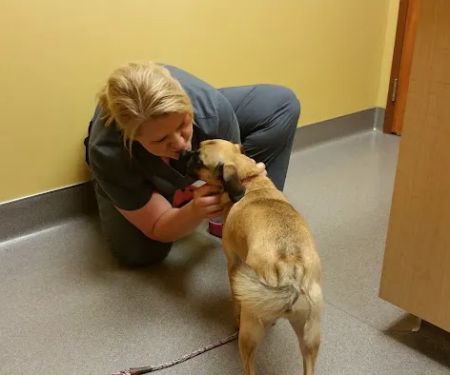 Forest Lake Veterinary Hospital: Rapp Sarah DVM