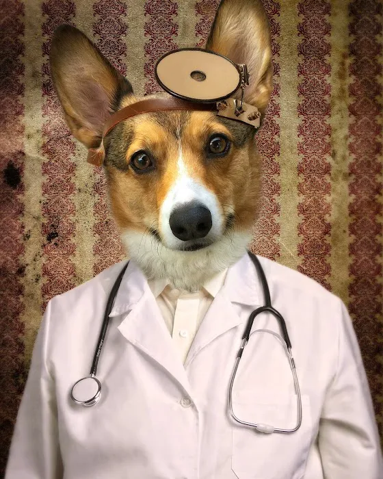 North Paws Veterinary Clinic- General Practice and Urgent Care Picture 3