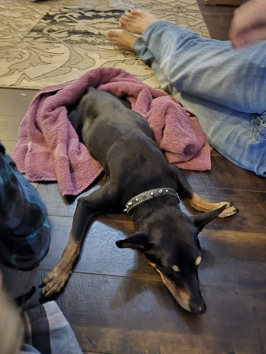 Ramsey Animal Hospital Picture 7