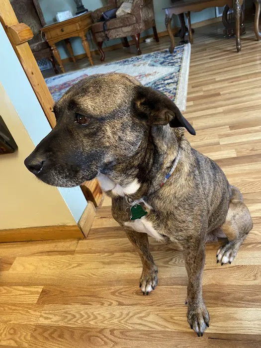 Ramsey Animal Hospital Picture 8