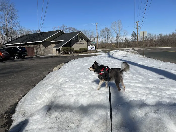 South St Paul Animal Hospital Picture 5