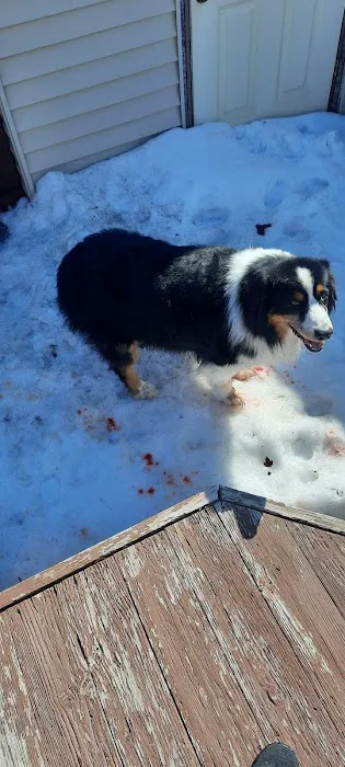 South St Paul Animal Hospital Picture 6