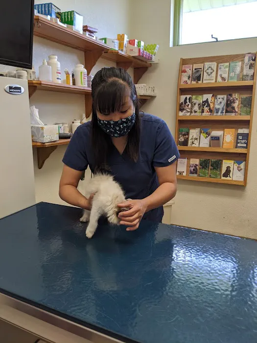 South St Paul Animal Hospital Picture 8