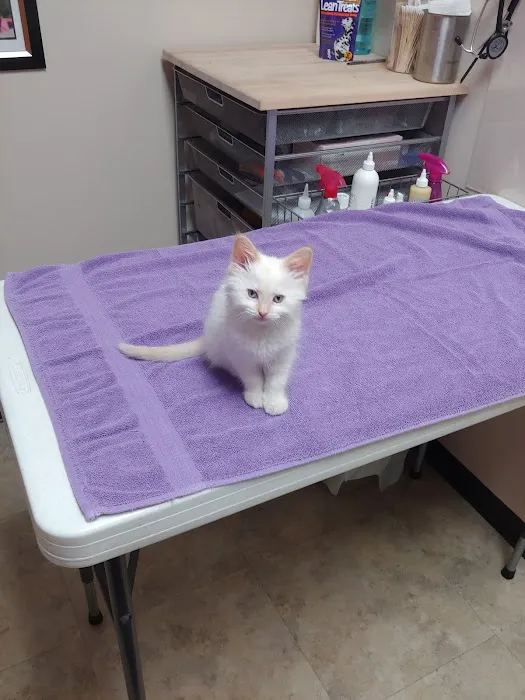 Blackberry Veterinary Center Picture 2