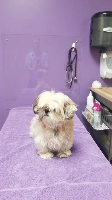 Blackberry Veterinary Center Picture 5