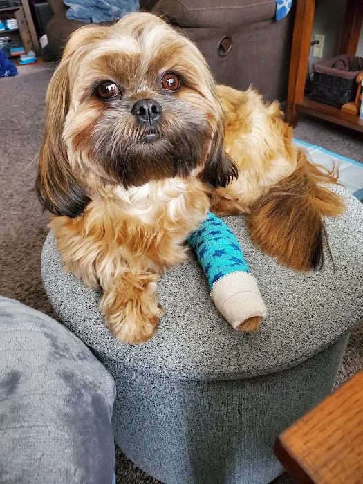 Blackberry Veterinary Center Picture 6