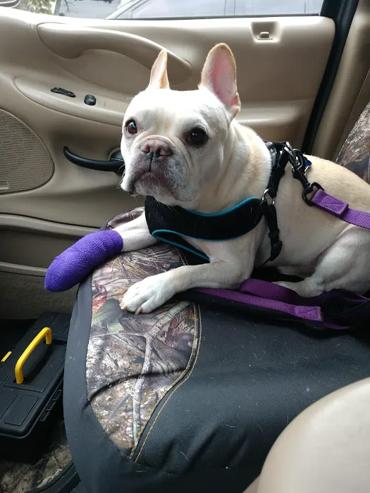 Inver Grove Heights Animal Hospital Picture 1