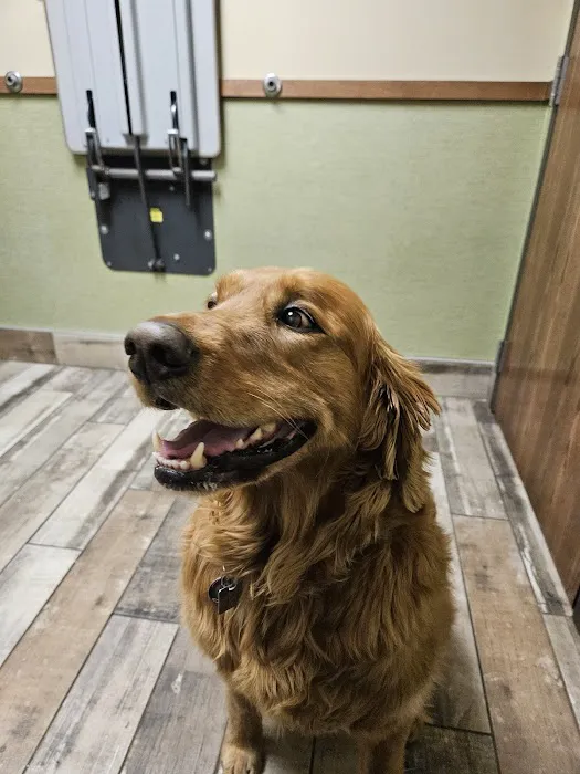 Inver Grove Heights Animal Hospital Picture 3