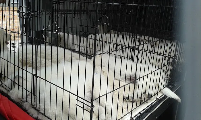 Inver Grove Heights Animal Hospital Picture 8