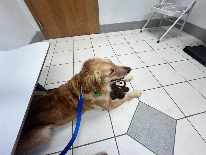Companion Animal Hospital Picture 7