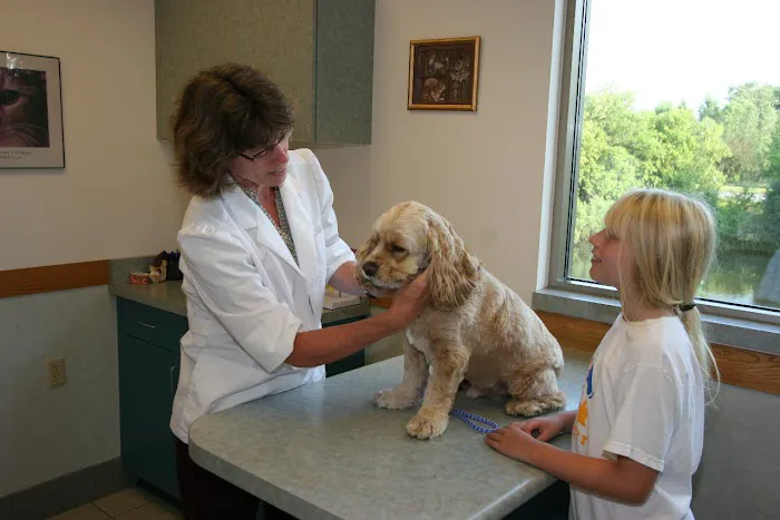 Companion Animal Hospital Picture 9