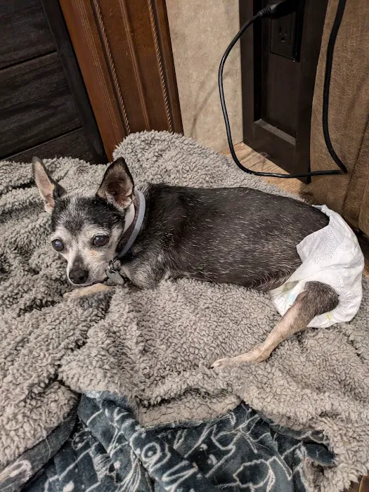 Companion Animal Hospital Picture 10