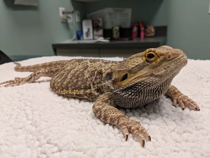 Lexington Pet Clinic Picture 2
