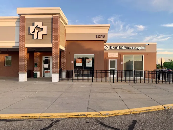 Banfield Pet Hospital Picture 2