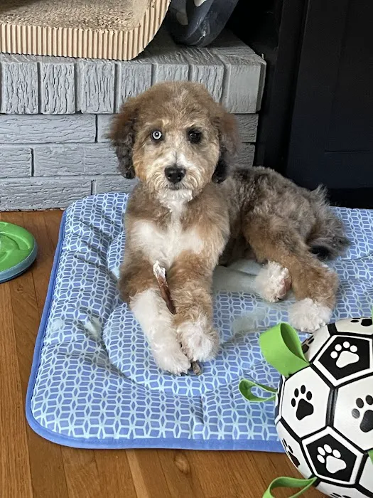 Banfield Pet Hospital Picture 6