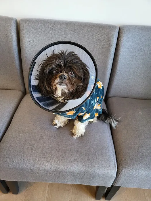 Vet Eye Pros Picture 4