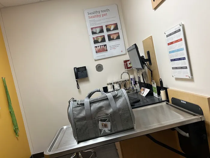 Banfield Pet Hospital Picture 4