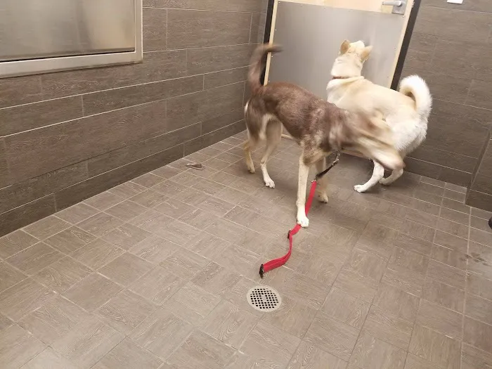 Banfield Pet Hospital Picture 5