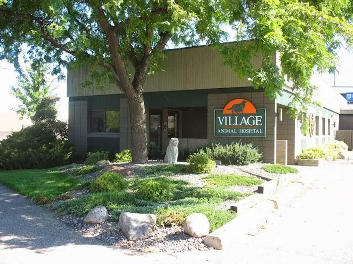 Village Animal Hospital Picture 8