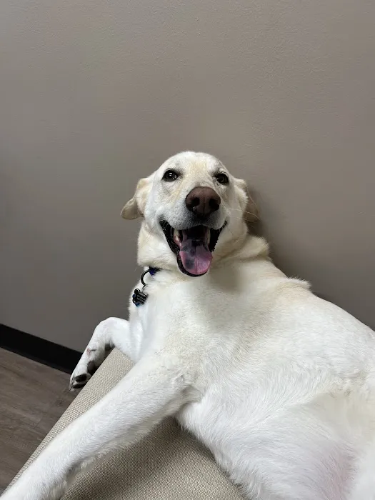 Anderson Lakes Animal Hospital Picture 5
