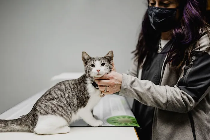 Prairie Village Pet Hospital Picture 2