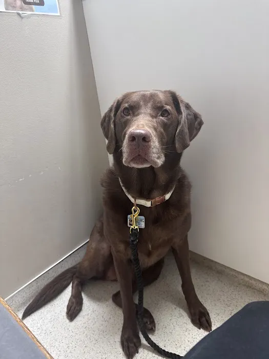 Carver Lake Veterinary Center Picture 8