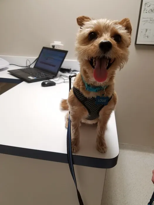 Carver Lake Veterinary Center Picture 7