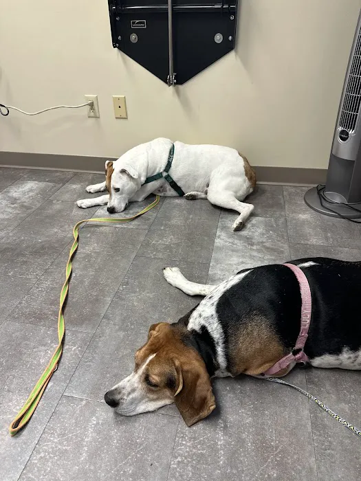 Carver Lake Veterinary Center Picture 6
