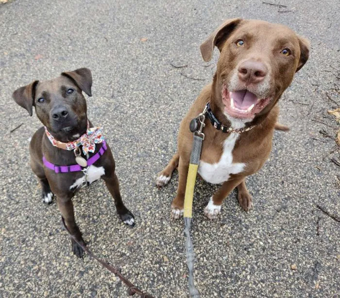 Animal Emergency & Referral Center of Minnesota (AERC) Picture 4