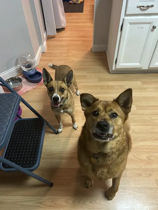 TLC Veterinary Hospital Picture 10
