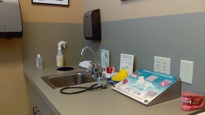 TLC Veterinary Hospital Picture 9