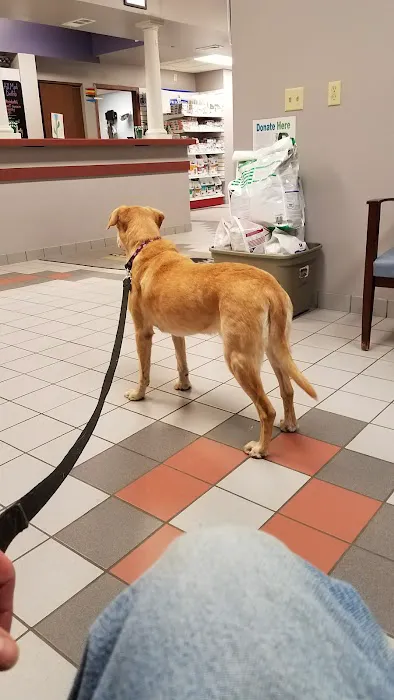 Hudson Road Animal Hospital Picture 8