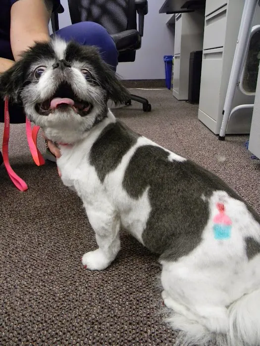 Hudson Road Animal Hospital Picture 6