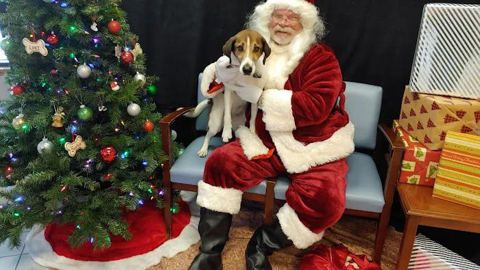 Hudson Road Animal Hospital Picture 5