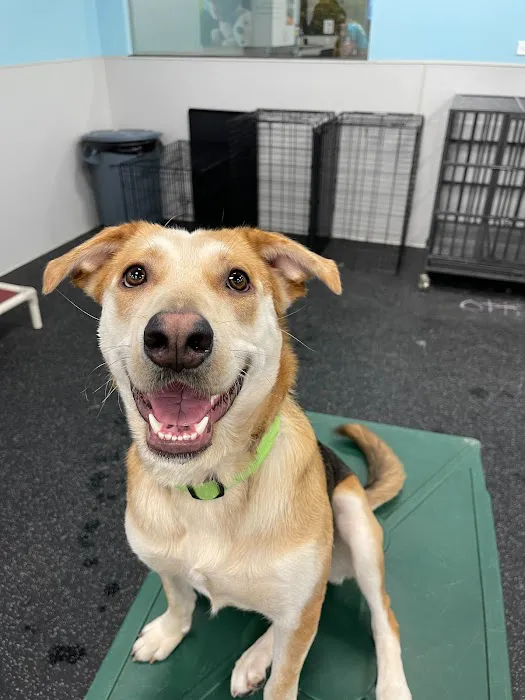 Hudson Road Animal Hospital Picture 9